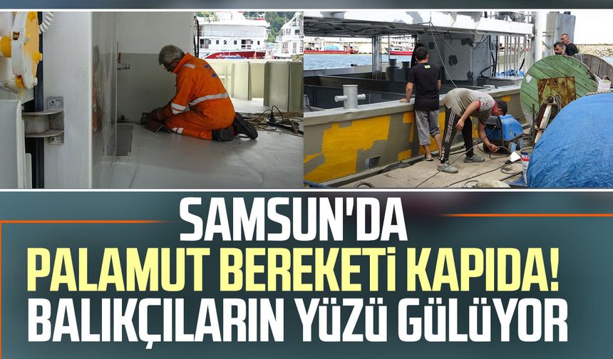 Samsun açıklarından güzel haber! Tezgâhlar palamuda doyabilir