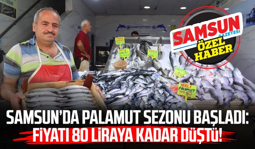 Samsun’da palamut sezonu başladı: Fiyatı 80 liraya kadar düştü!