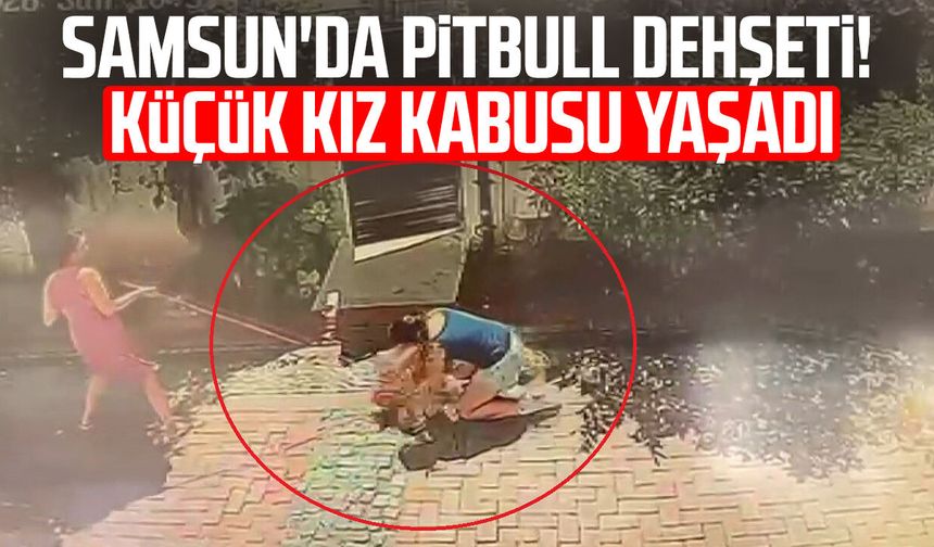Samsun'da pitbull dehşeti! Küçük kız kabusu yaşadı