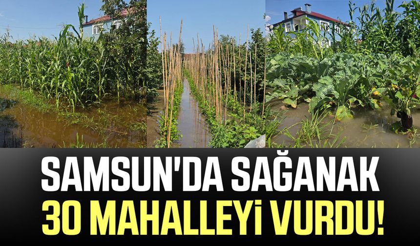 Samsun'da sağanak 30 mahalleyi vurdu!