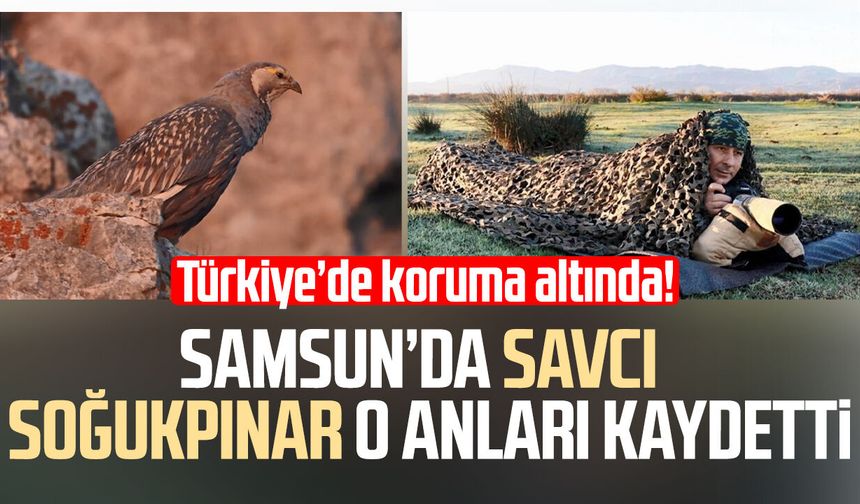 Türkiye’de koruma altında! Samsun'da savcı Vedat Soğukpınar o anları kaydetti