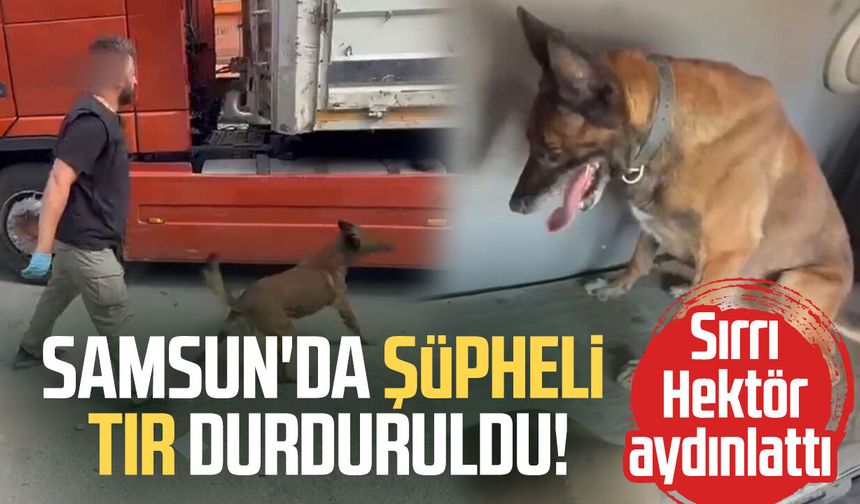 Samsun'da şüpheli tır durduruldu! Sırrı Hektör aydınlattı