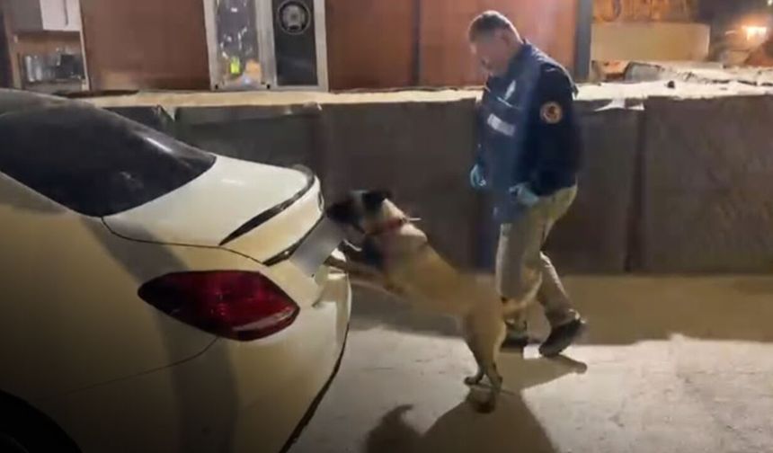 Samsun’da şüpheli valiz! Narkotik köpeği Şila ortaya çıkardı
