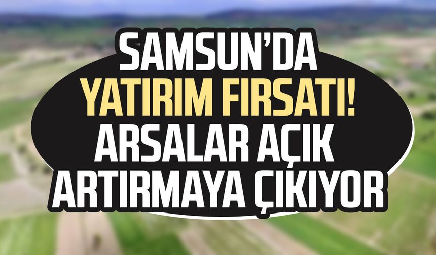Samsun’da yatırım fırsatı! Arsalar açık artırmaya çıkıyor - samsungazetesi.com