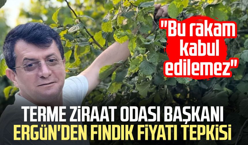 Terme Ziraat Odası Başkanı Ferda Ergün'den fındık fiyatı tepkisi: "Kabul edilemez"