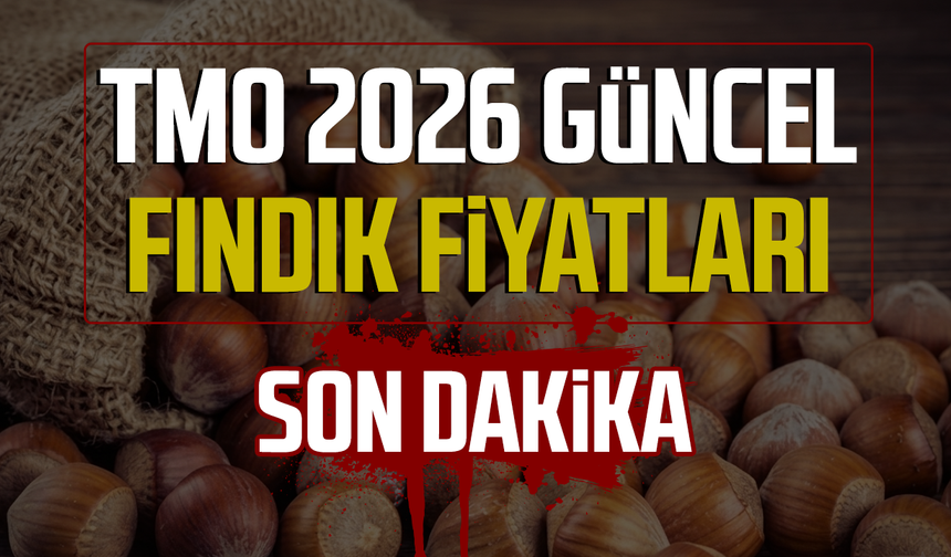 TMO 2026 güncel fındık fiyatları SON DAKİKA