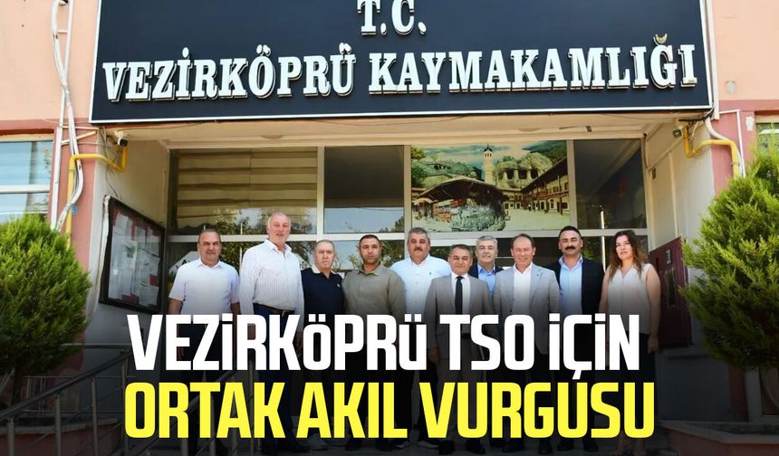 Vezirköprü TSO için ortak akıl vurgusu