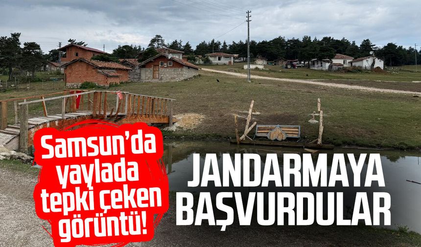 Vezirköprü’de yaylada tepki çeken görüntü! Jandarmaya başvurdular