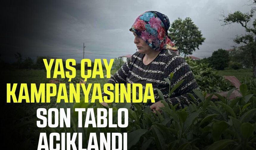 2. sürgün çay alımlarında dikkat çeken rakam