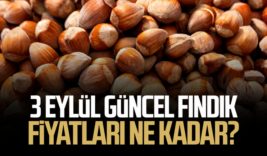 Fındık fiyatları düştü! 3 Eylül güncel fiyatlar
