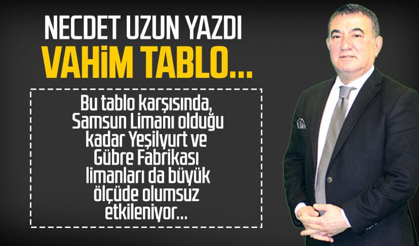 Necdet Uzun yazdı: Vahim tablo...