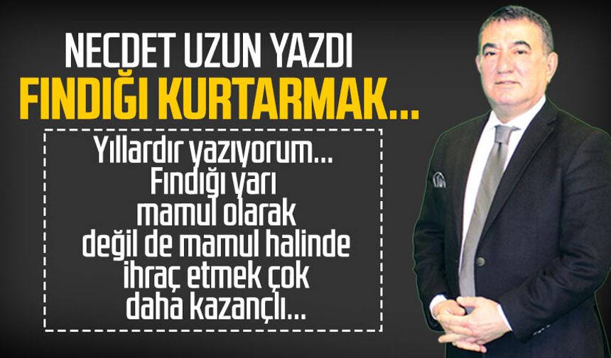 Necdet Uzun yazdı: Fındığı kurtarmak...