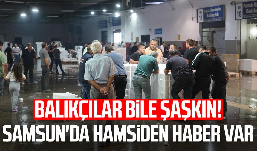 Balıkçılar bile şaşkın! Samsun'da hamsiden haber var