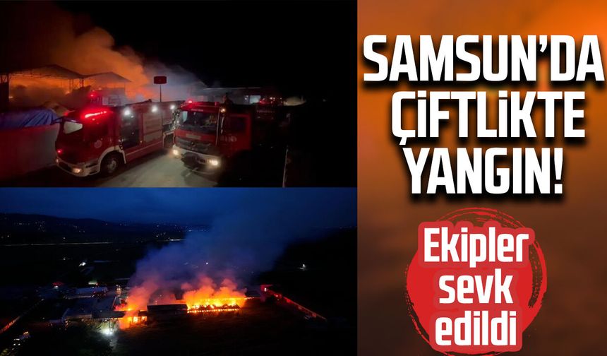 Samsun’da çiftlikte yangın! Ekipler sevk edildi