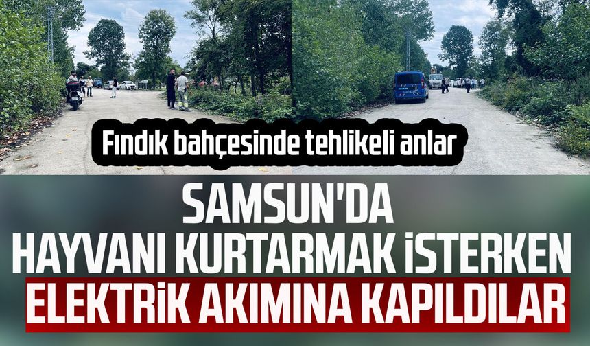 Samsun'da hayvanı kurtarmak isterken elektrik akımına kapıldılar