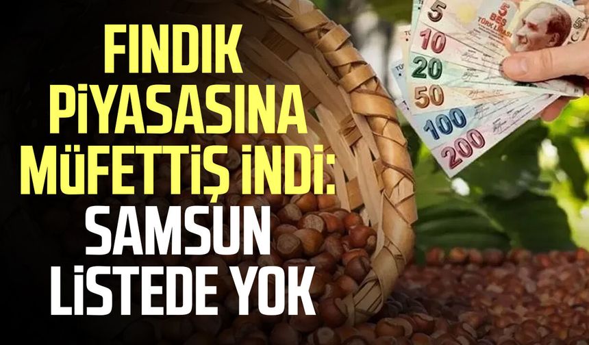 Fındık piyasasına müfettiş indi: Samsun listede yok