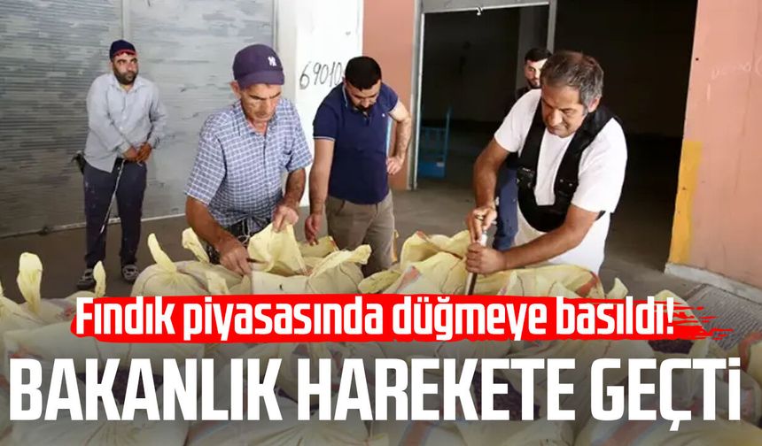 Fındık piyasasında düğmeye basıldı! Bakanlık harekete geçti