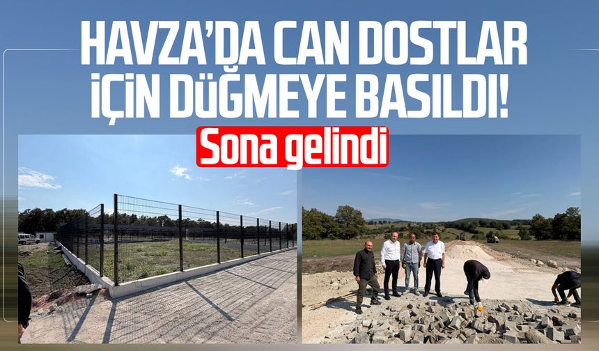 Havza’da can dostlar için düğmeye basıldı! Sona gelindi