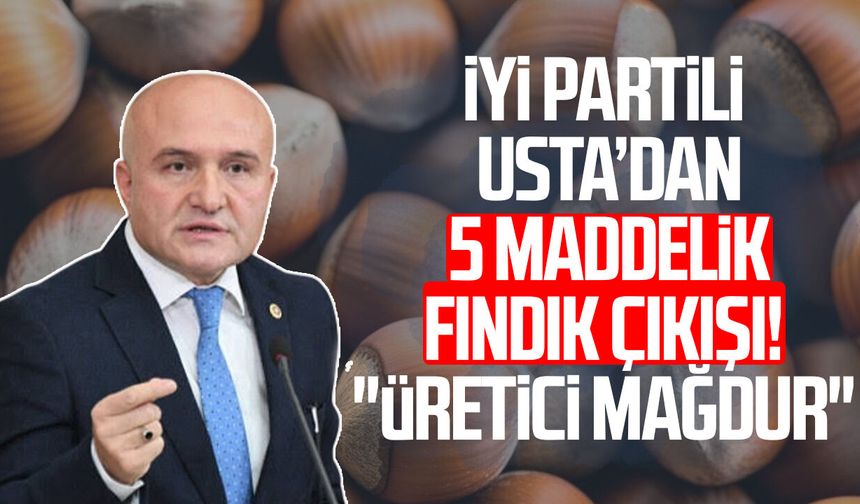 İYİ Partili Erhan Usta’dan 5 maddelik fındık çıkışı! "Üretici mağdur"