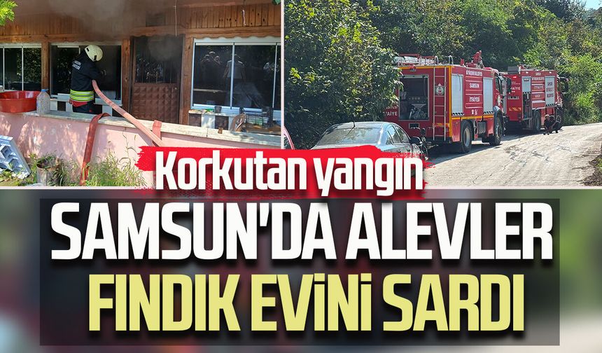 Samsun'da alevler fındık evini sardı