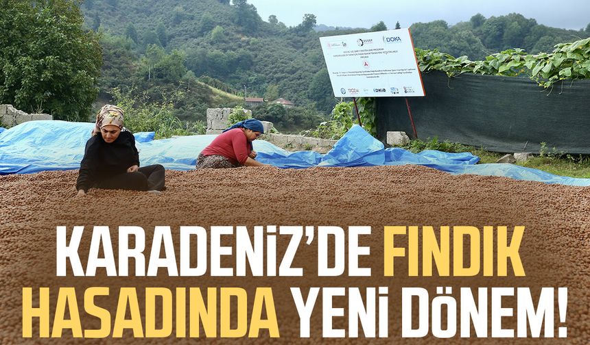 Karadeniz’de fındık hasadında yeni dönem