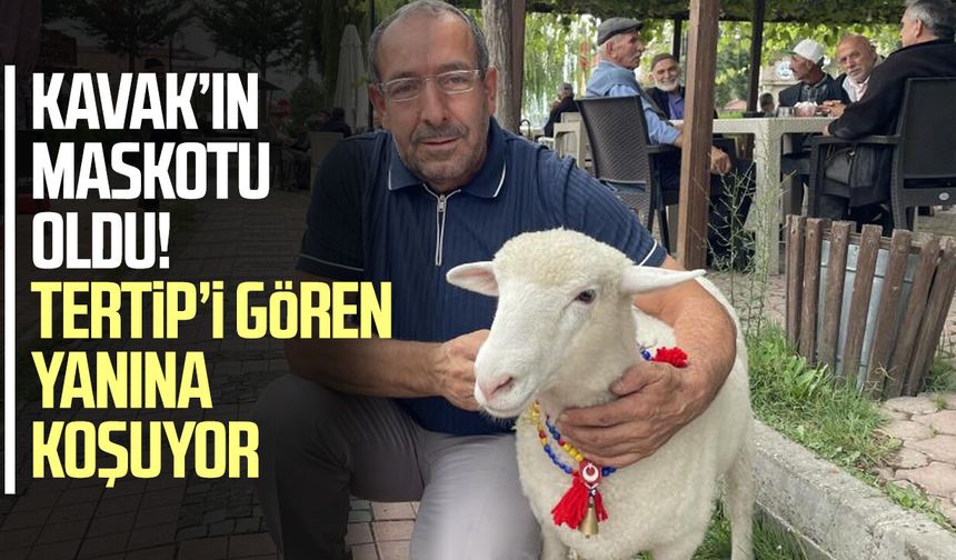 Kavak’ın maskotu oldu! Tertip’i gören yanına koşuyor