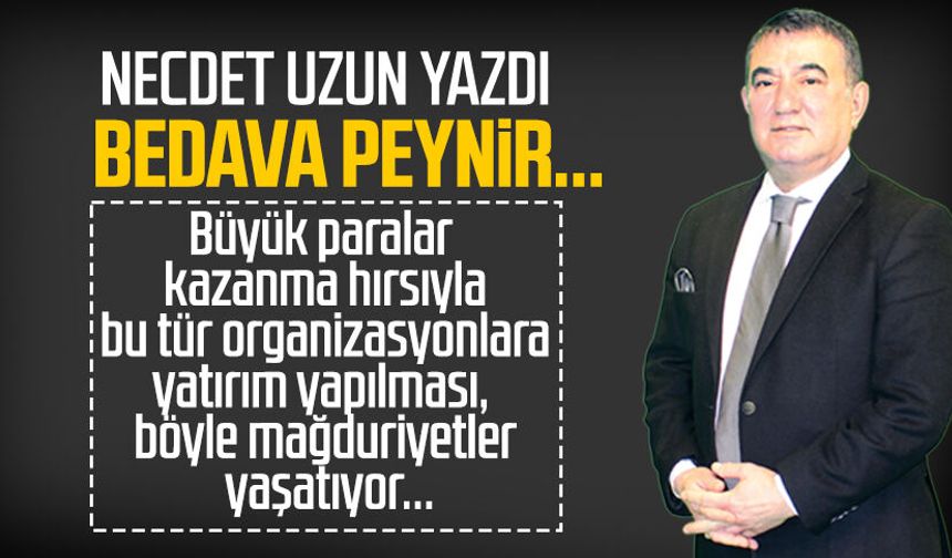 Necdet Uzun yazdı: Bedava peynir...