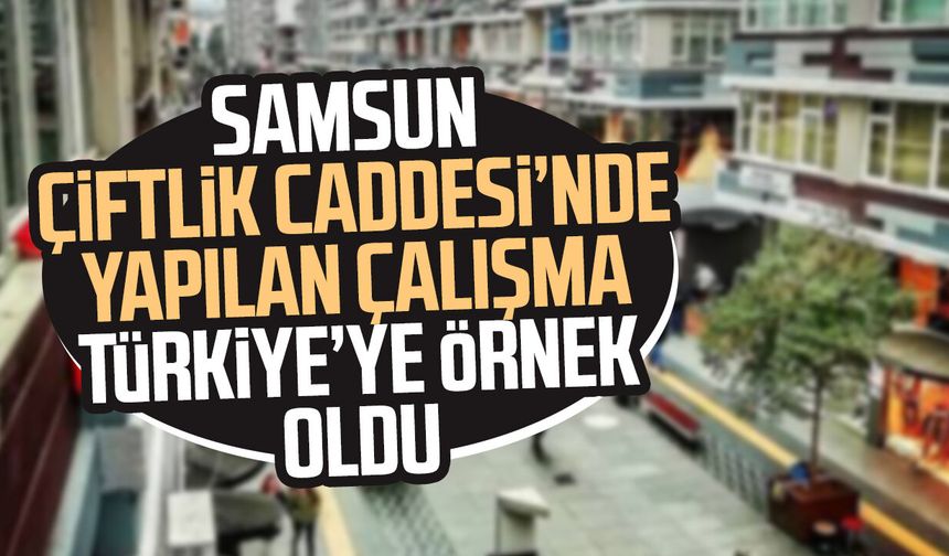 Samsun Çiftlik Caddesi projesi ulusal ödül getirdi