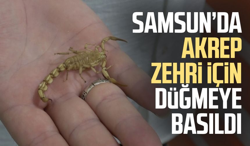 Samsun’da akrep zehri için düğmeye basıldı