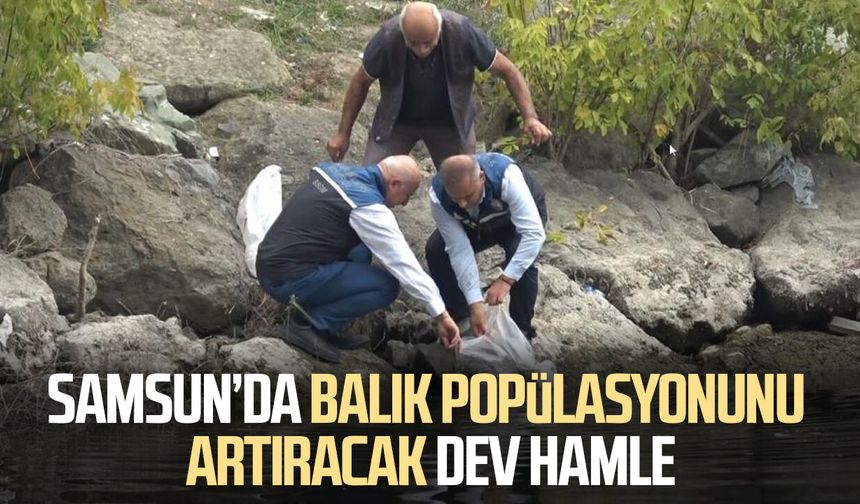 Samsun’da balık popülasyonunu artıracak dev hamle