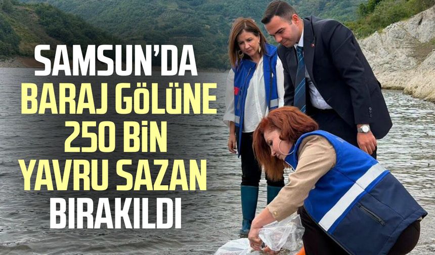 Samsun’da baraj gölüne 250 bin yavru sazan bırakıldı