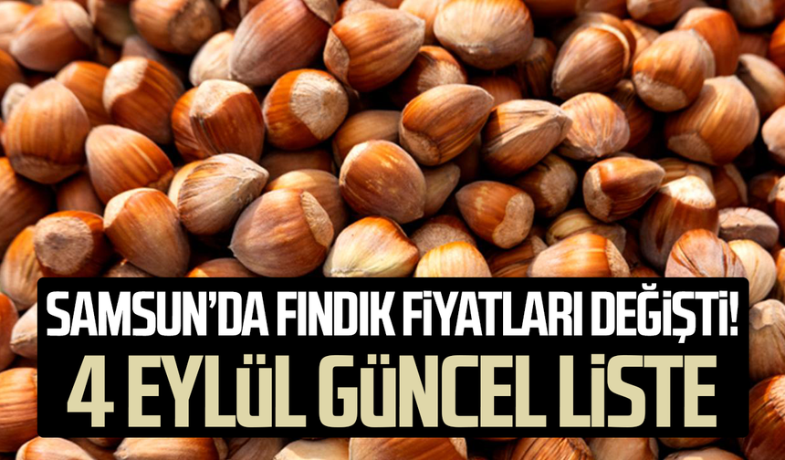 Samsun'da fındık fiyatları değişti! 4 Eylül güncel liste