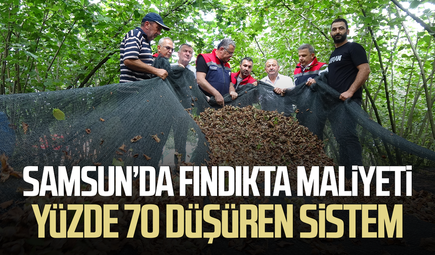 Samsun’da file sistemi fındıkta maliyeti yüzde 70 düşürüyor