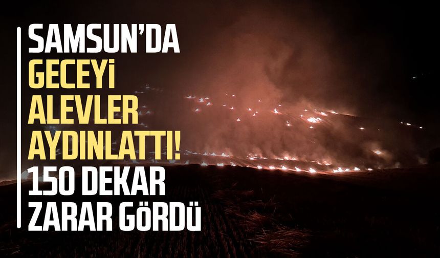Samsun’da geceyi alevler aydınlattı! 150 dekar zarar gördü