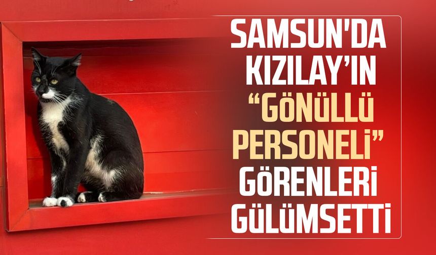 Samsun'da Kızılay’ın “gönüllü personeli” görenleri gülümsetti
