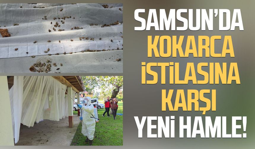 Samsun’da kokarca istilasına karşı yeni hamle!