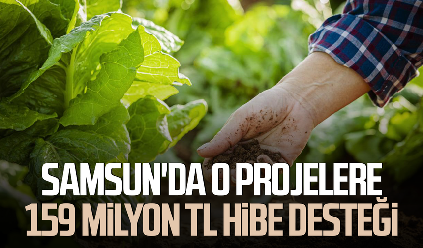 Samsun'da o projelere 159 milyon TL hibe desteği