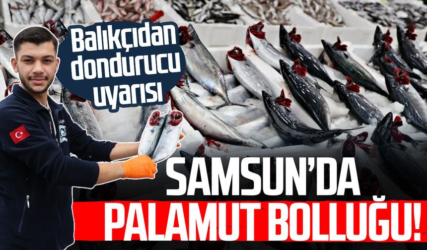 Samsun’da palamut bolluğu! Balıkçıdan dondurucu uyarısı
