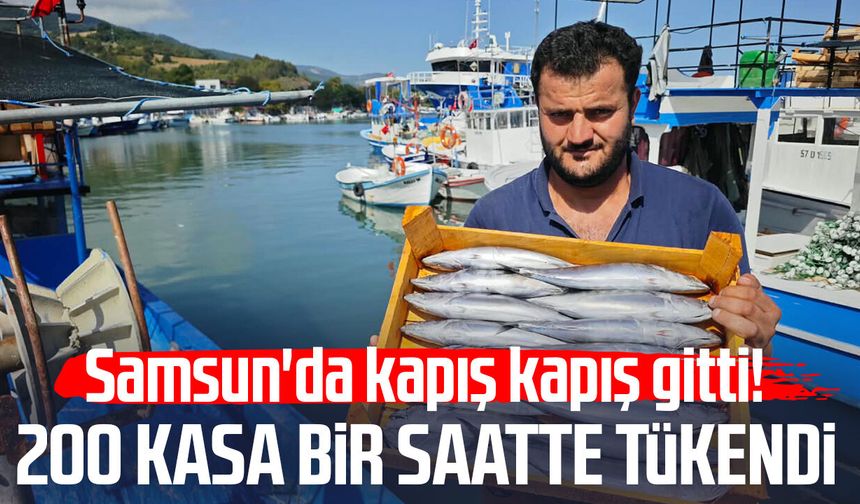 Samsun’da palamuta hücum! 200 kasa bir saatte bitti