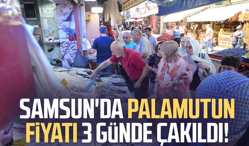 Samsun'da palamutun fiyatı 3 günde çakıldı!