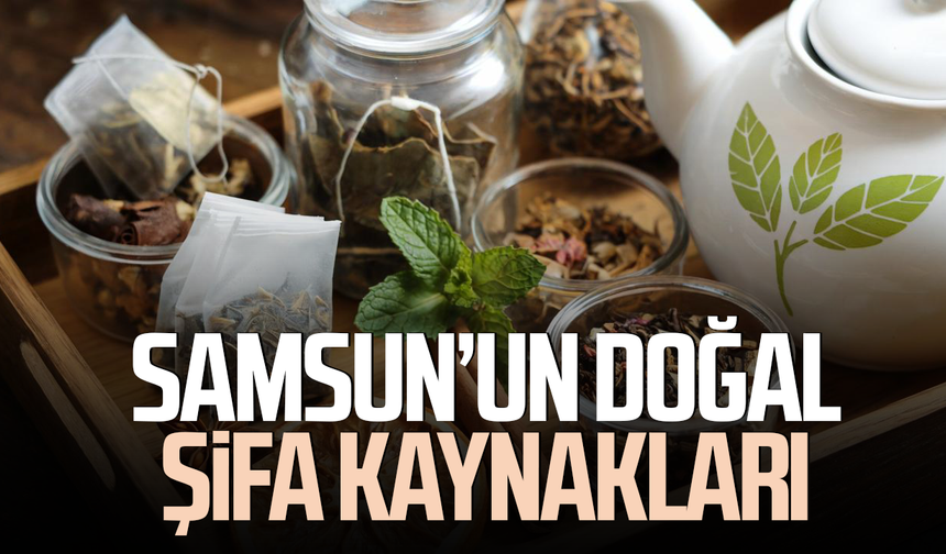 Samsun’un doğal şifa kaynakları: Dağlardan sofralara