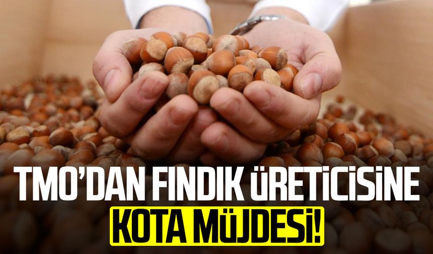 TMO’dan fındık üreticisine kota müjdesi!