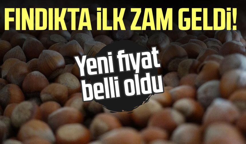 Fındıkta ilk zam geldi! Yeni fiyat belli oldu