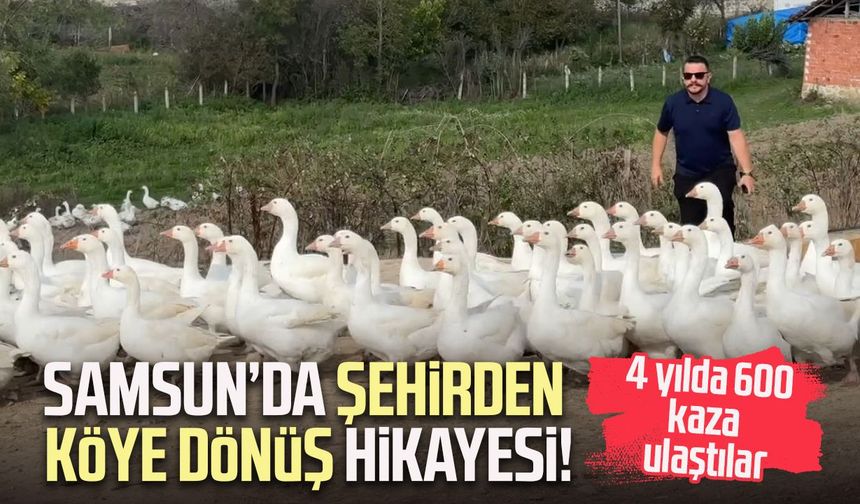 Samsun’da şehirden köye dönüş hikayesi! 4 yılda 600 kaza ulaştılar