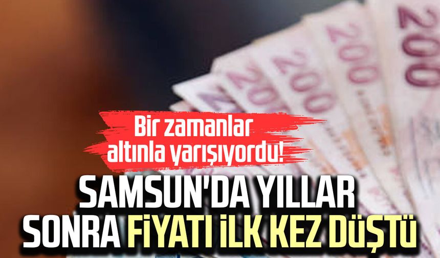 Bir zamanlar altınla yarışıyordu! Samsun'da yıllar sonra fiyatı ilk kez düştü