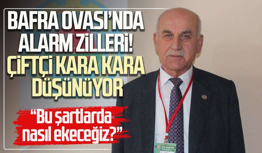 Bafra Ovası’nda alarm zilleri! Çiftçi kara kara düşünüyor