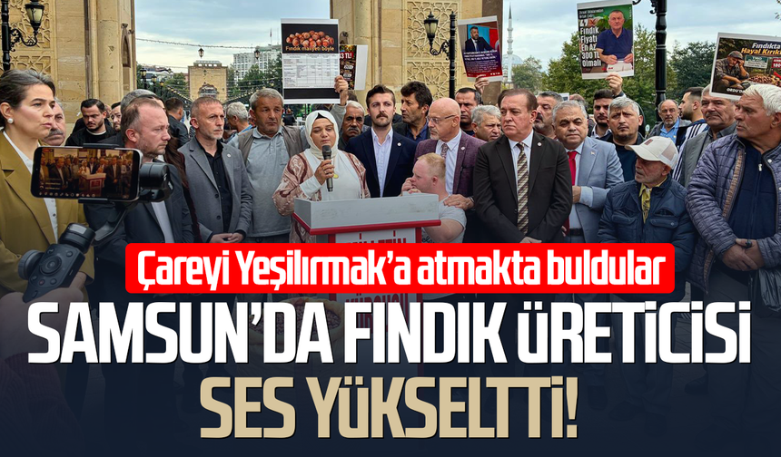 Samsun'da fındık üreticisi ses yükseltti! Yeşilırmak’ta eylem