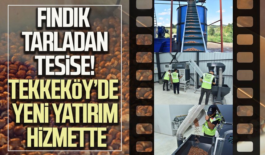 Fındık tarladan tesise! Tekkeköy’de yeni yatırım hizmette