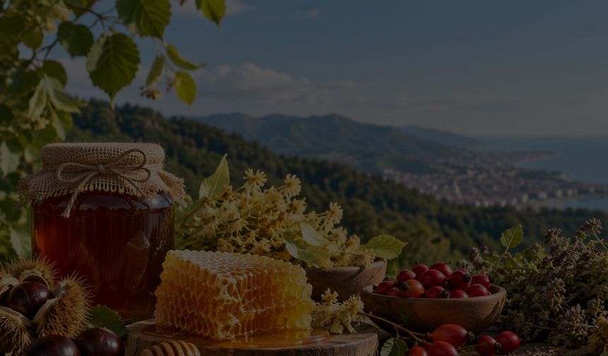 Kestane balından kuşburnuna Samsun’un doğal hazineleri