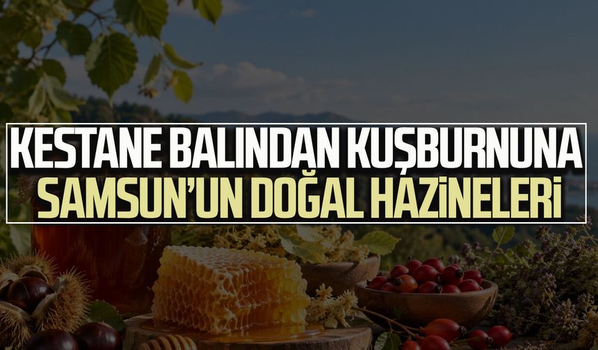Kestane balından kuşburnuna Samsun’un doğal hazineleri
